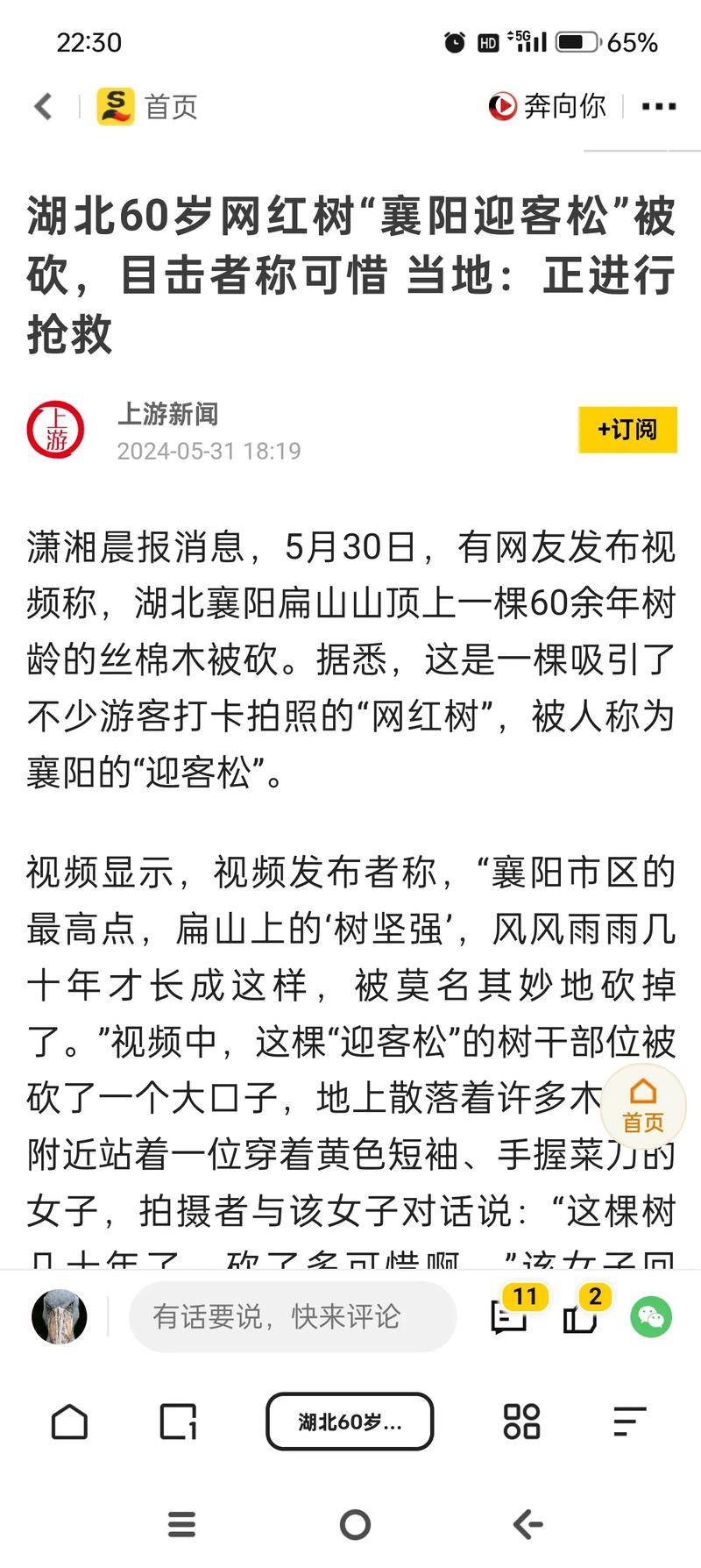 今日视点：湖北电视台热点新闻深度解析