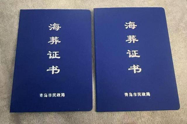 新闻周刊｜青漂老人，叶落何处