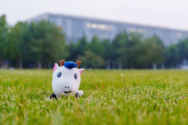 中央财经大学好不好？“财经黄埔”名不虚传！
