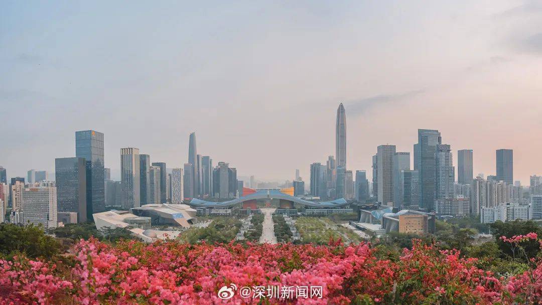 深圳人都在发！即日起，全网征集……