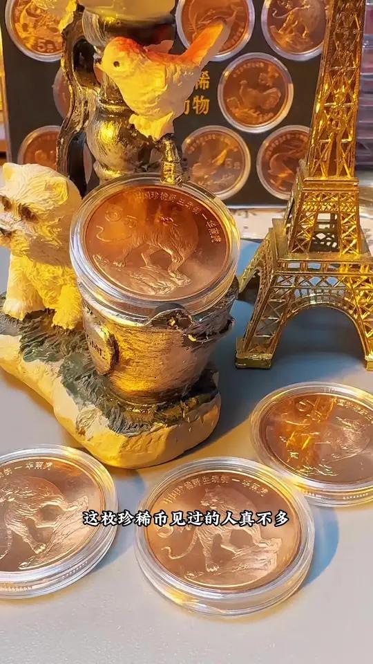 虎币(虎币们收盘了)