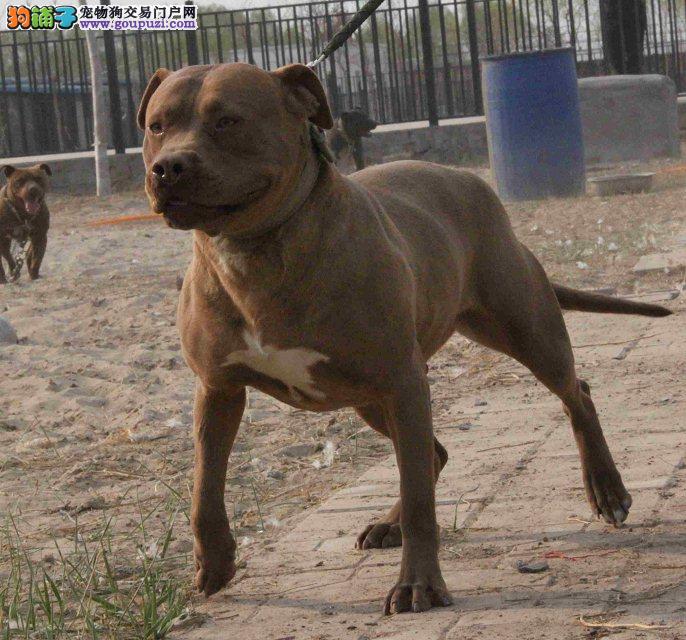 比特(比特币是个什么东西)