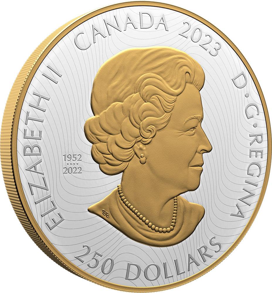 乌鸦币(乌鸦币价格)