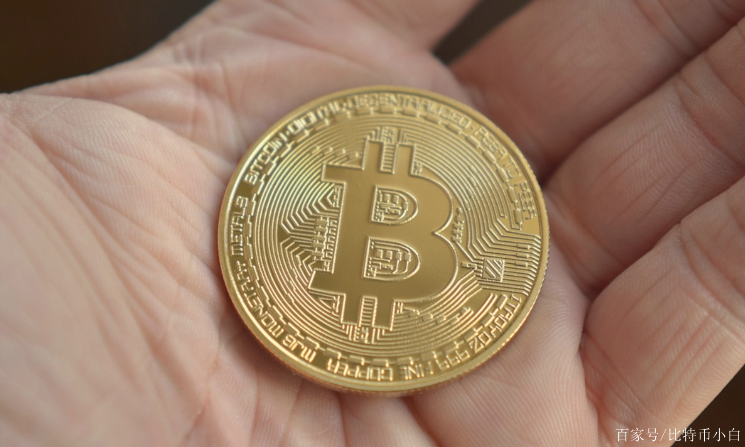 币小白(币小白寒寒个人资料简介)