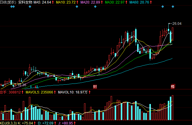 新源币(心愿便利贴歌曲)