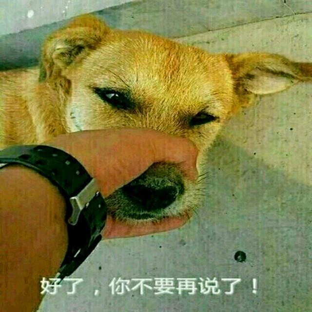 炒币段子(炒币搞笑视频)