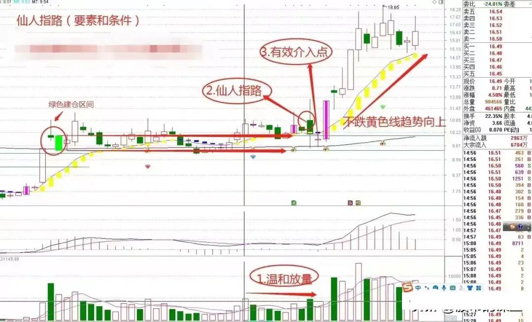 炒币波段技巧(炒币波段一般多长时间好)