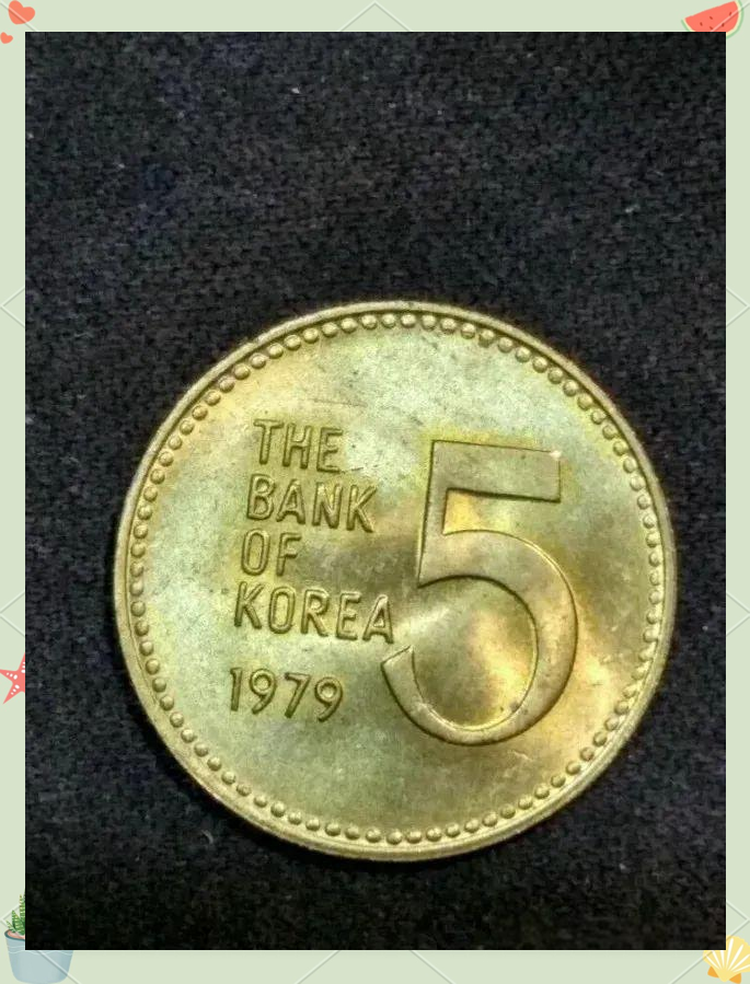 乌龟币(乌龟币充值比例是多少)