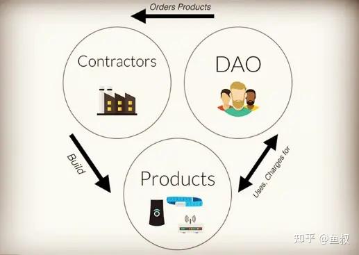 币圈行话(币圈行业术语)