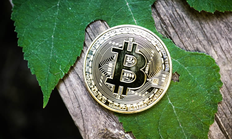 比德币(比德币合法吗)